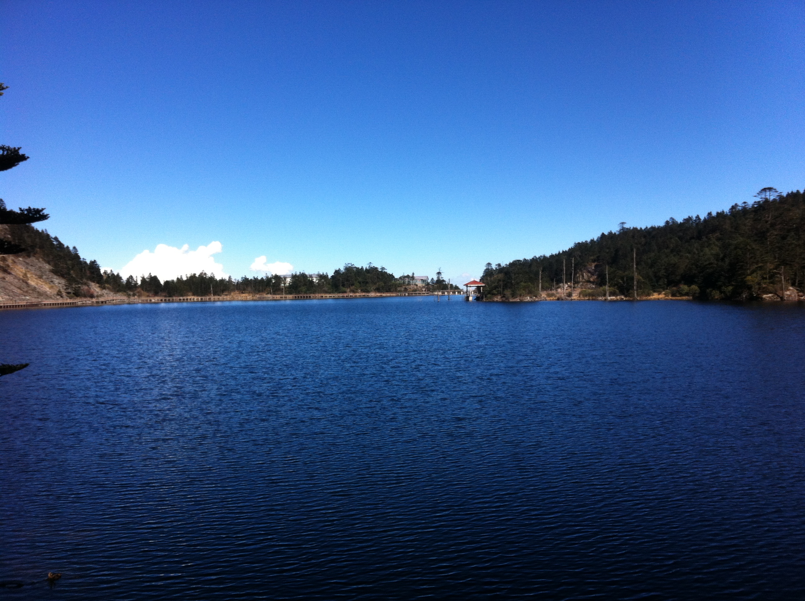 坤旺生物取得兽用生物制品GSP证书